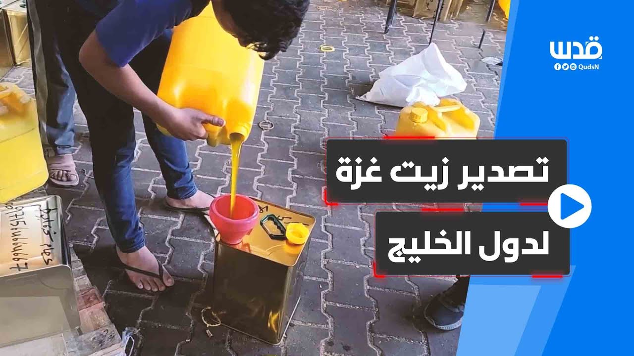 تجهيز صفائح زيت الزيتون في خانيونس جنوب قطاع غزة لتصديره لدول الخليج.