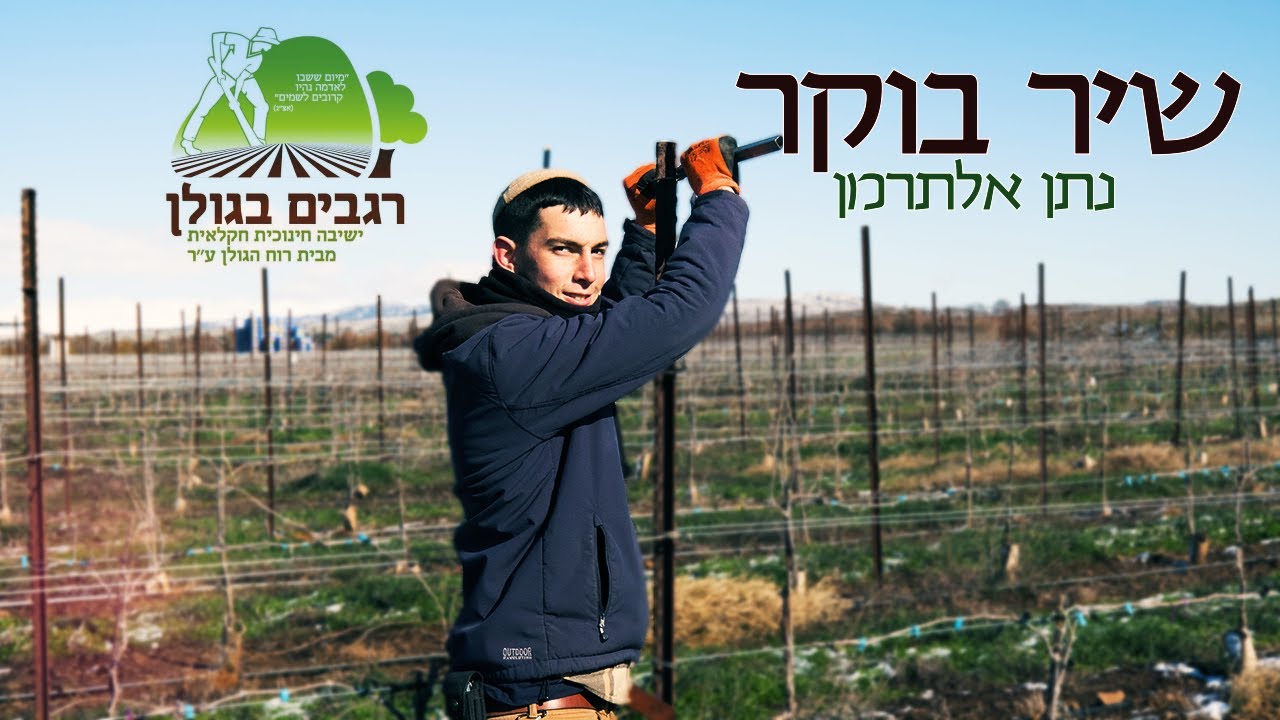 שיר בוקר - רגבים בגולן