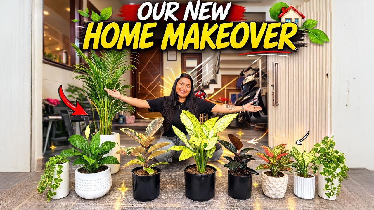 Apne New Ghar Me Plants Laga Liye