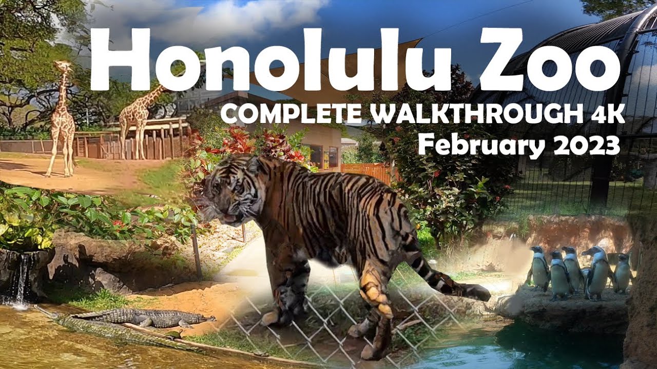 Honolulu Zoo Complete Walkthrough 4K February 2023