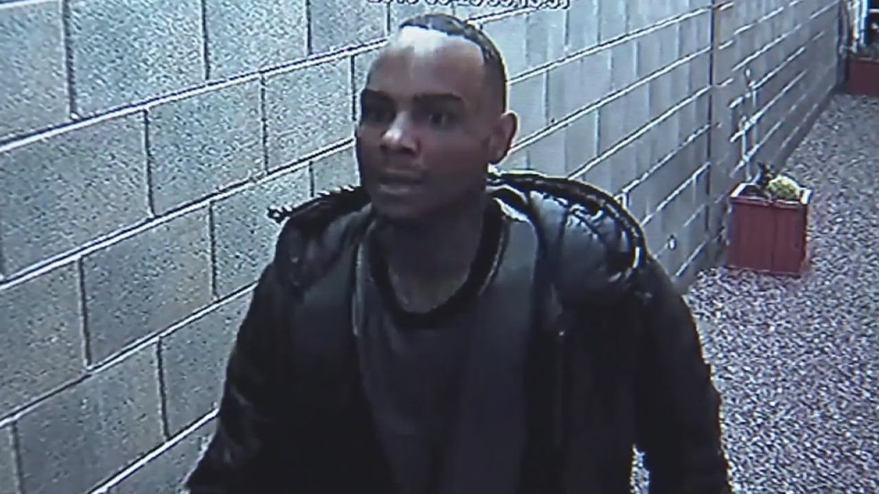Police issue arrest warrant in throwing rock burglary