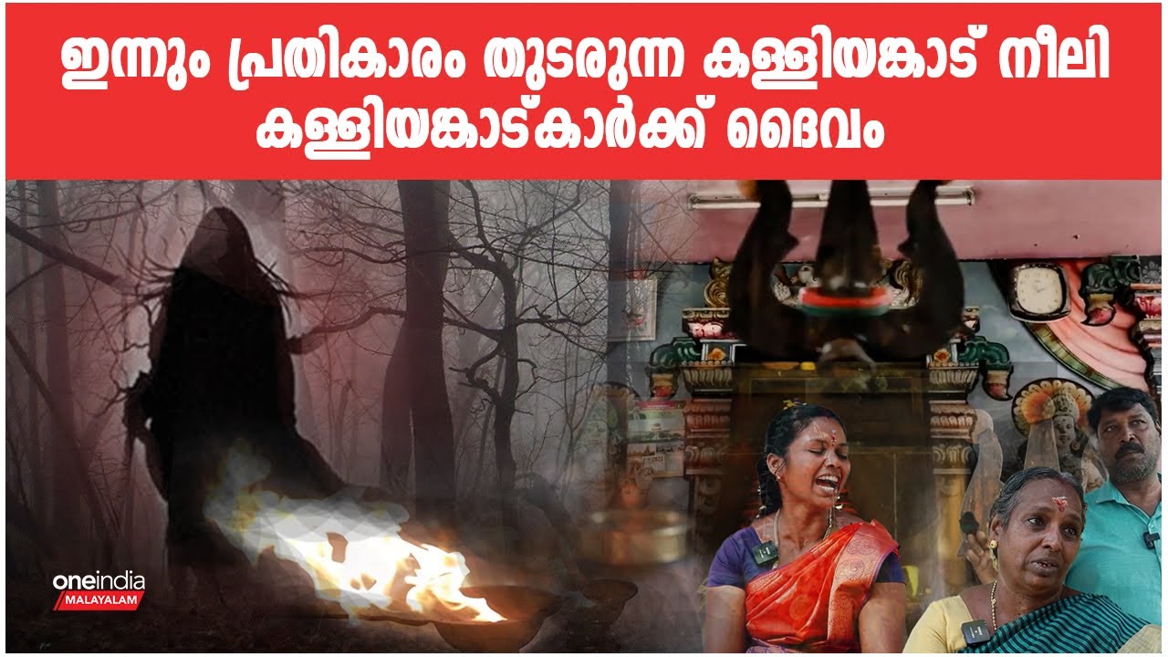 ആരാണ് കള്ളിയങ്കാട്ട് നീലി? അറിയേണ്ടതെല്ലാം | Kalliyankattu Neeli | DocuOne