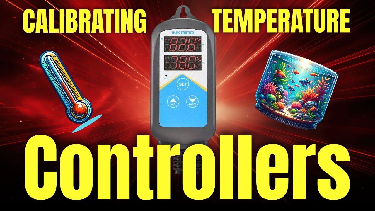 Dial In Your Tank: Temperature Controller Calibration for Aquariums