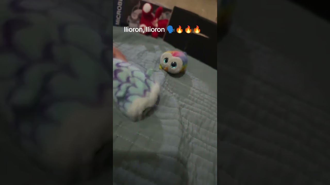 vov ezponka me ezta perzikiendo 🗣️🔥🔥🔥