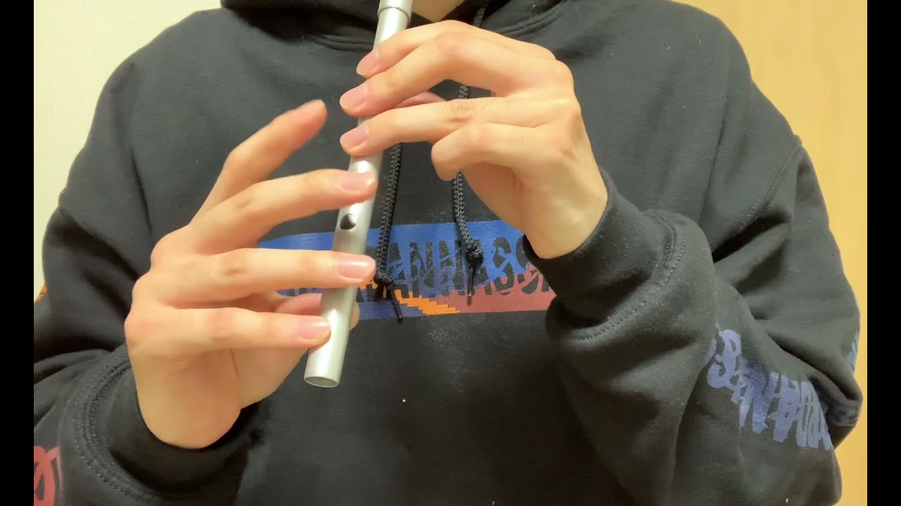 【ティンホイッスル】ゆるキャン△キャンプ場のテーマ〜麓〜その①
