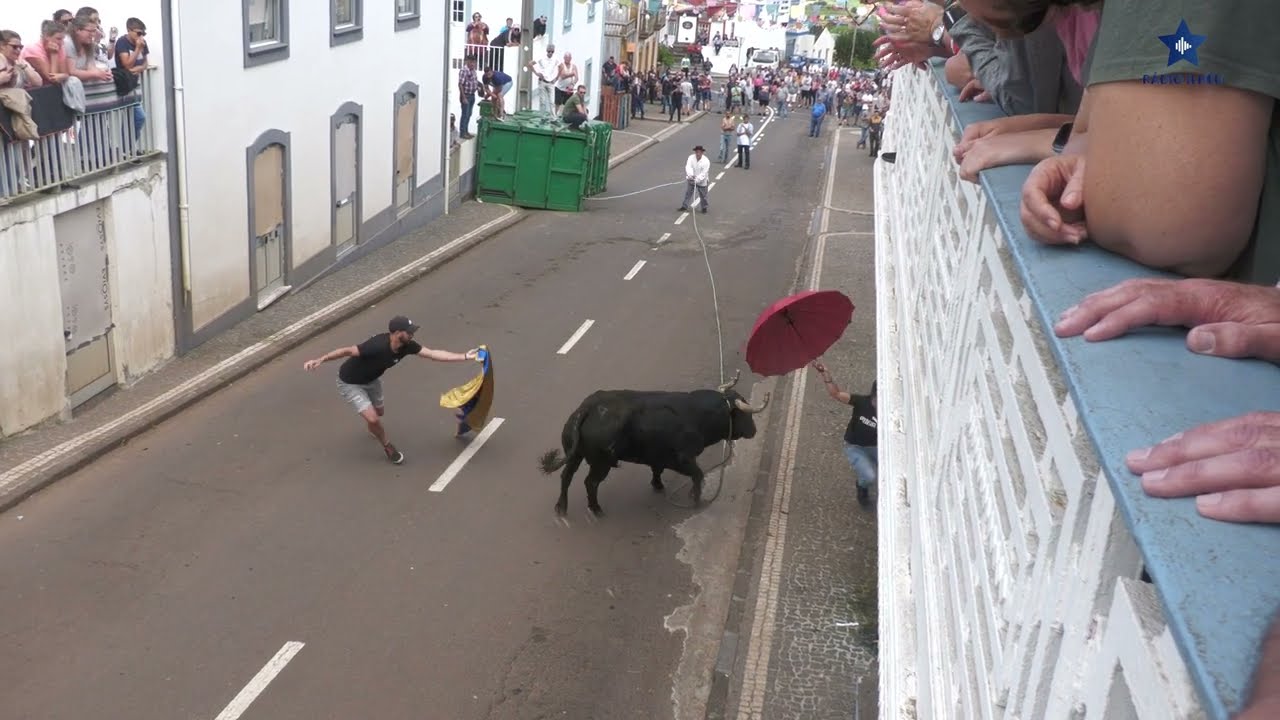 #SantoAntão. Tourada à Corda da Ganadaria #ÁlvaroAmarante