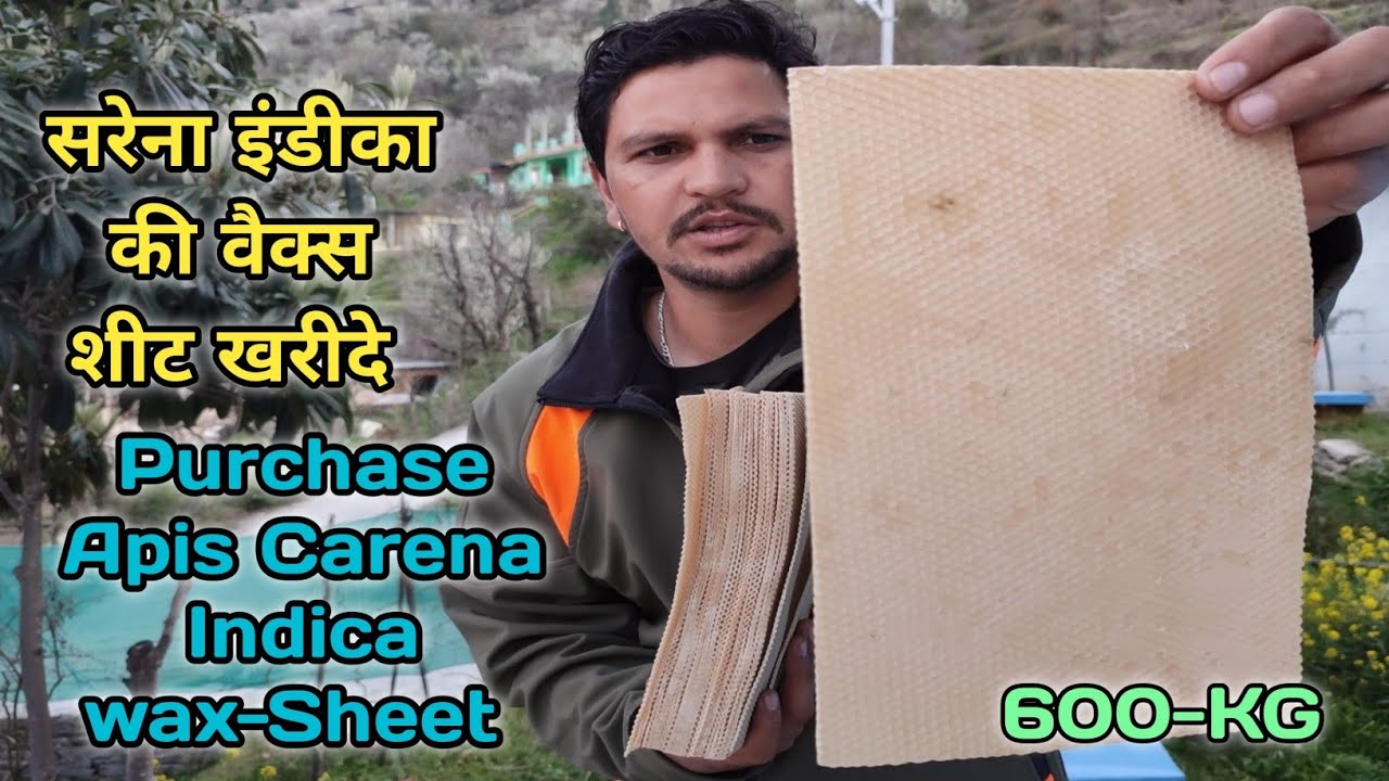 wax sheet's Apis Carena Indica online purchase #sales #onlineshopping #onlineshopping #bee