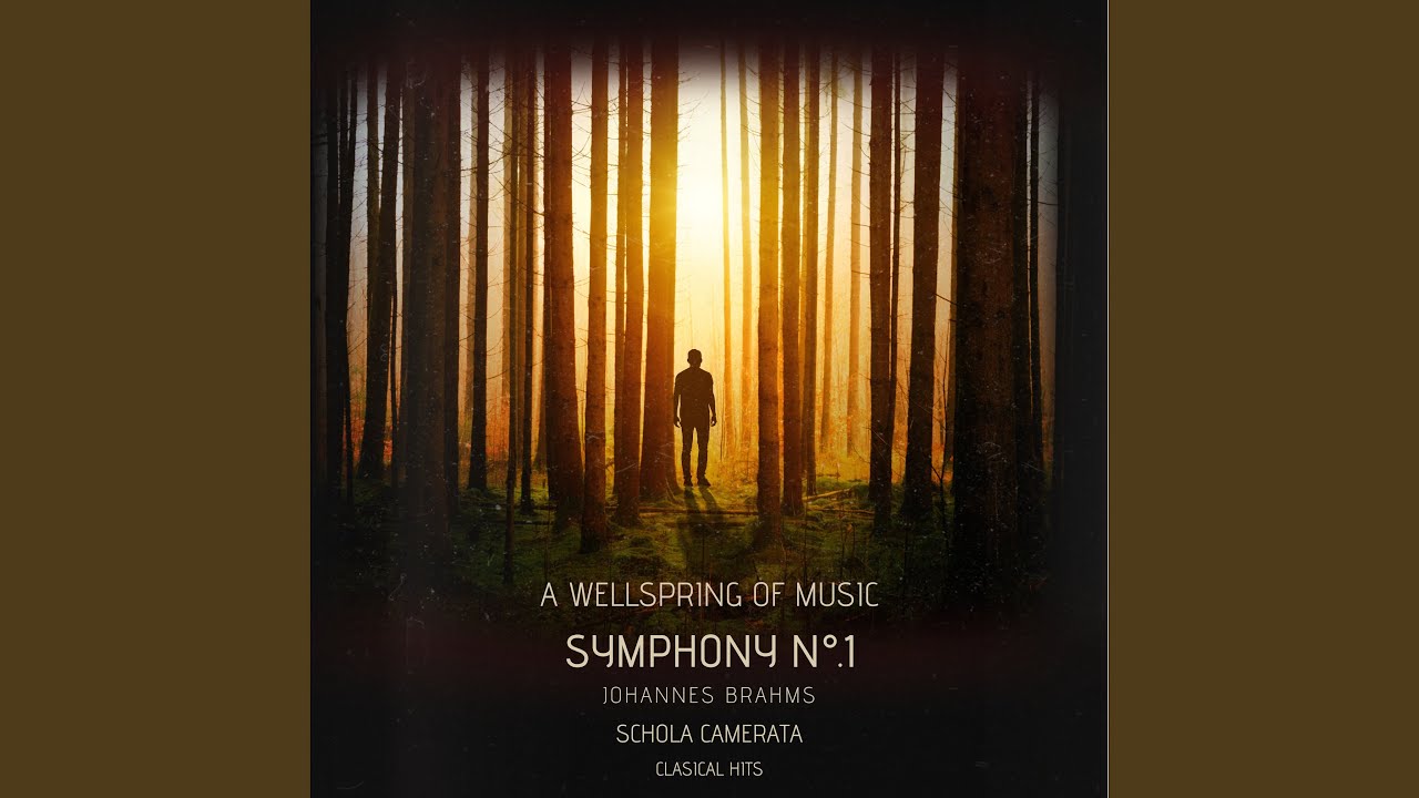 Un Poco Allegretto e Grazioso - Symphony No. 1