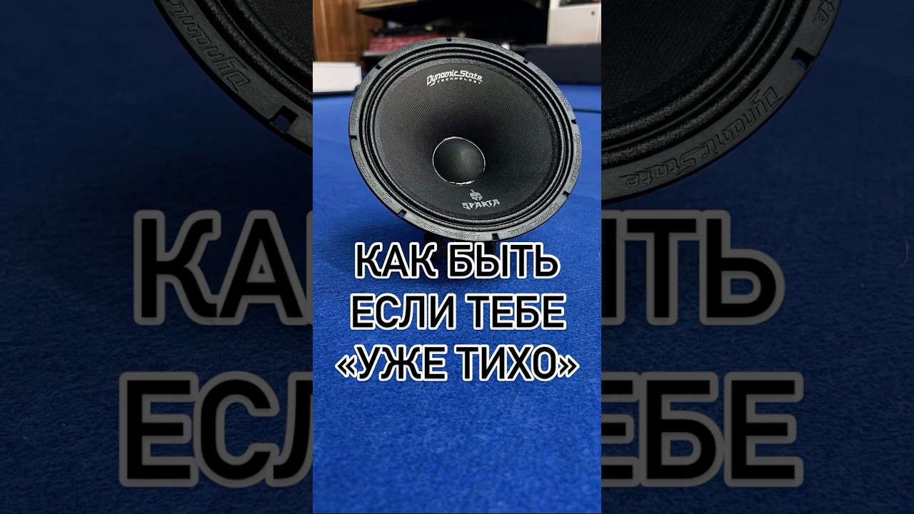 Топ 3 самых громких динамиков в миреSPARTA SM-164 с их помощью решается вопрос:Когда тебе &laquo;уже тихо&raquo;