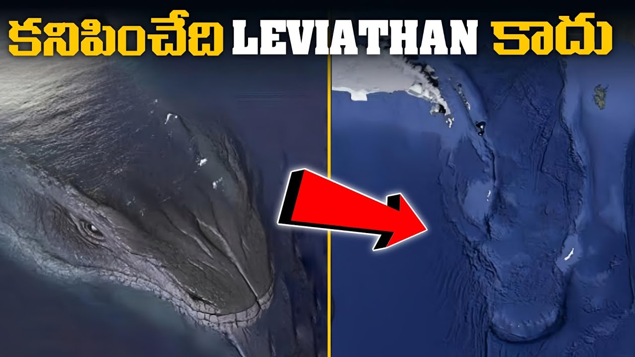 ఇది అసలు లేవియాతానే కాదు | Every Thing About Leviathan | Leviathan Snake Mystery Explained In Telugu