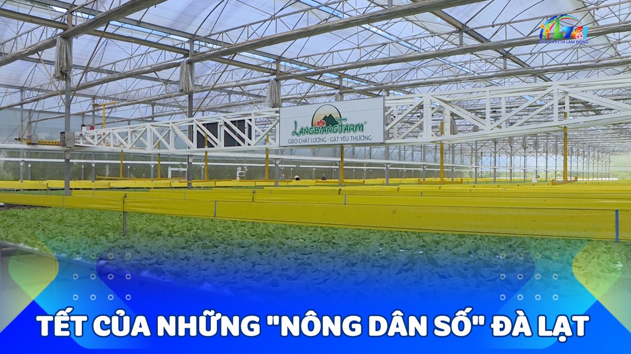 Tết của những 