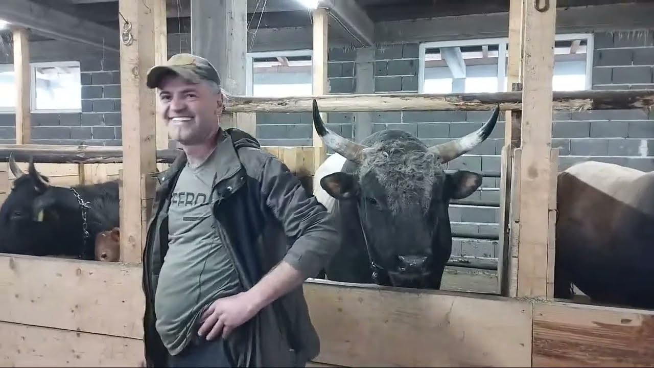 UŽIVO GOSTI IZ TURSKE KOD DINE RAMLJAKA U PRIBRAĆI