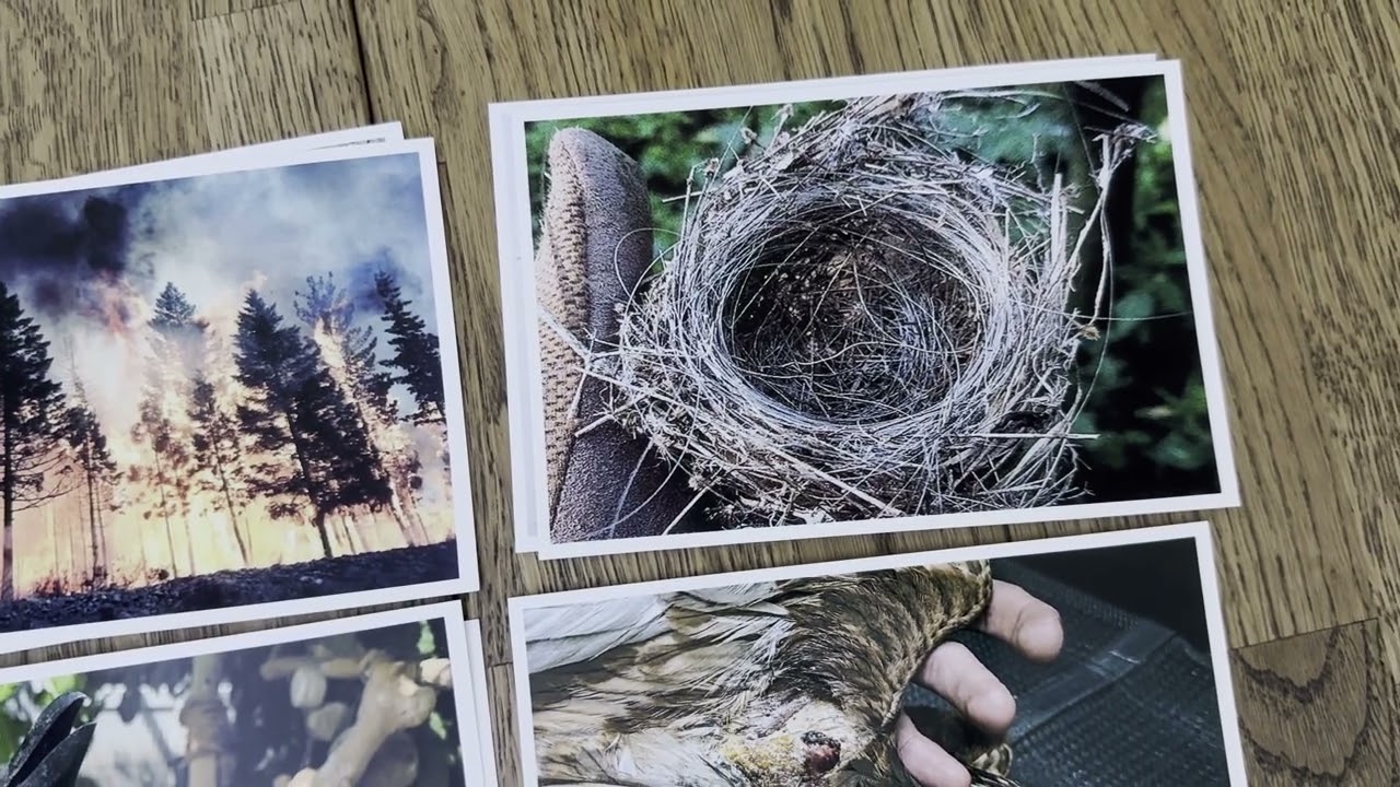 Природа на лінії фронту | Nature on the front line