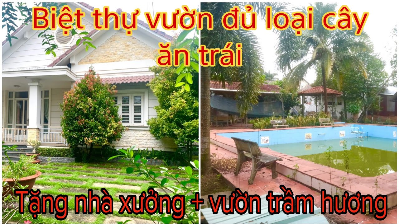 cần bán biệt thự vườn đủ loại trái cây + nhà xưởng - hồ bơi - ao cá - vườn trầm hương - Phú Mỹ Hưng