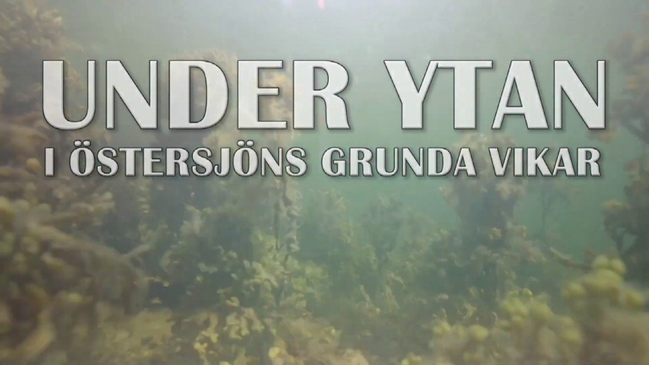 Under ytan