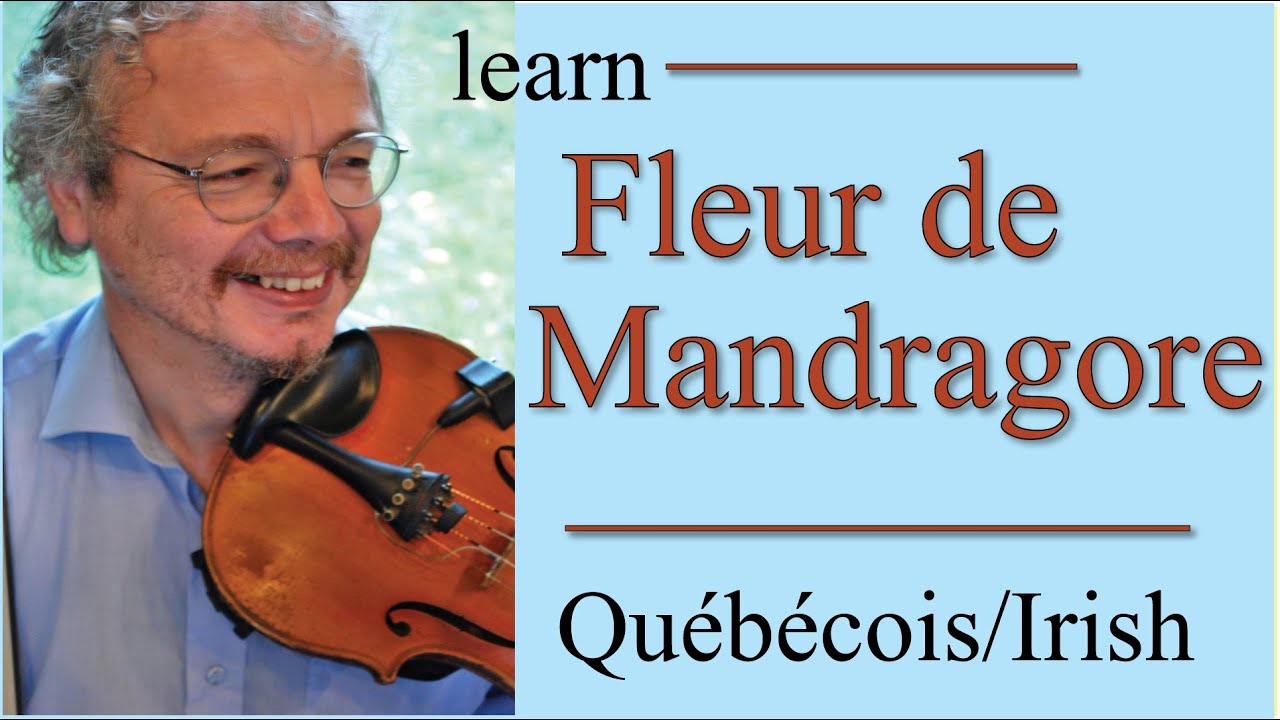 Fleur de Mandragore (fiddle lesson)