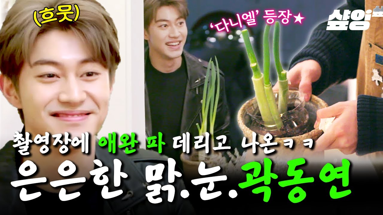 파 키우기에 누구보다 진심인 곽동연🤣 작고 진귀한 반려파 '다니엘' 등장에 뒤집어진 촬영장 ㅋㅋㅋ