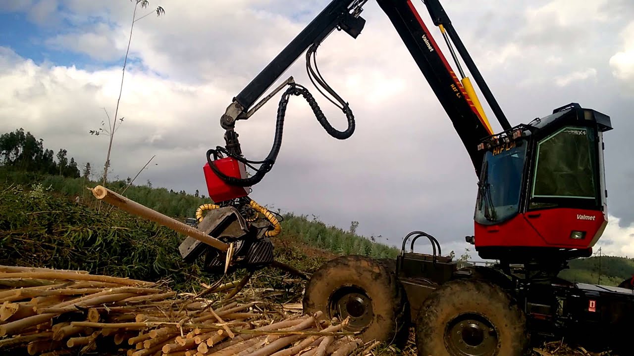 valmet 921 cabeça vikings . H&F lda exploração florestal
