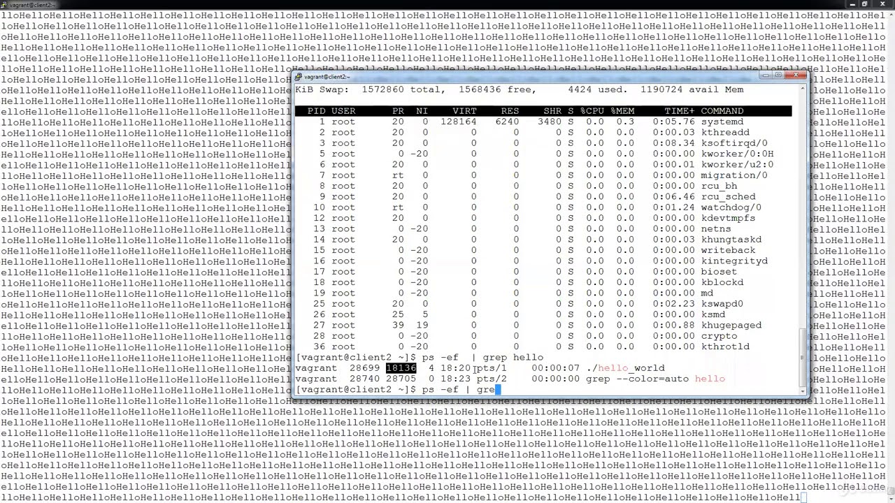 028 Introduction to Process in Linux