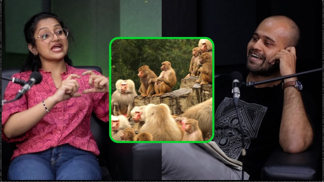 Do Primates Have a Caste System? Unraveling Primate Social Structures