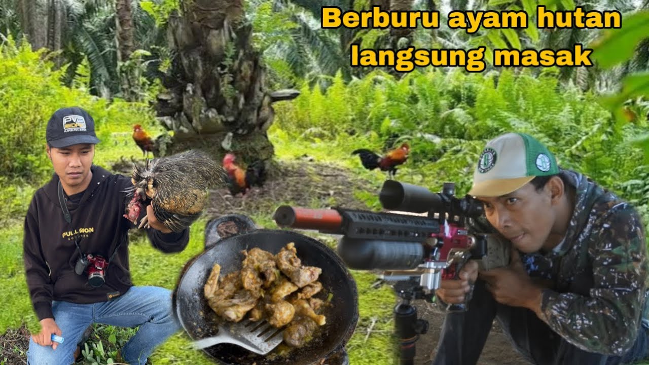 Berburu ayam hutan langsung masak ayam kecap