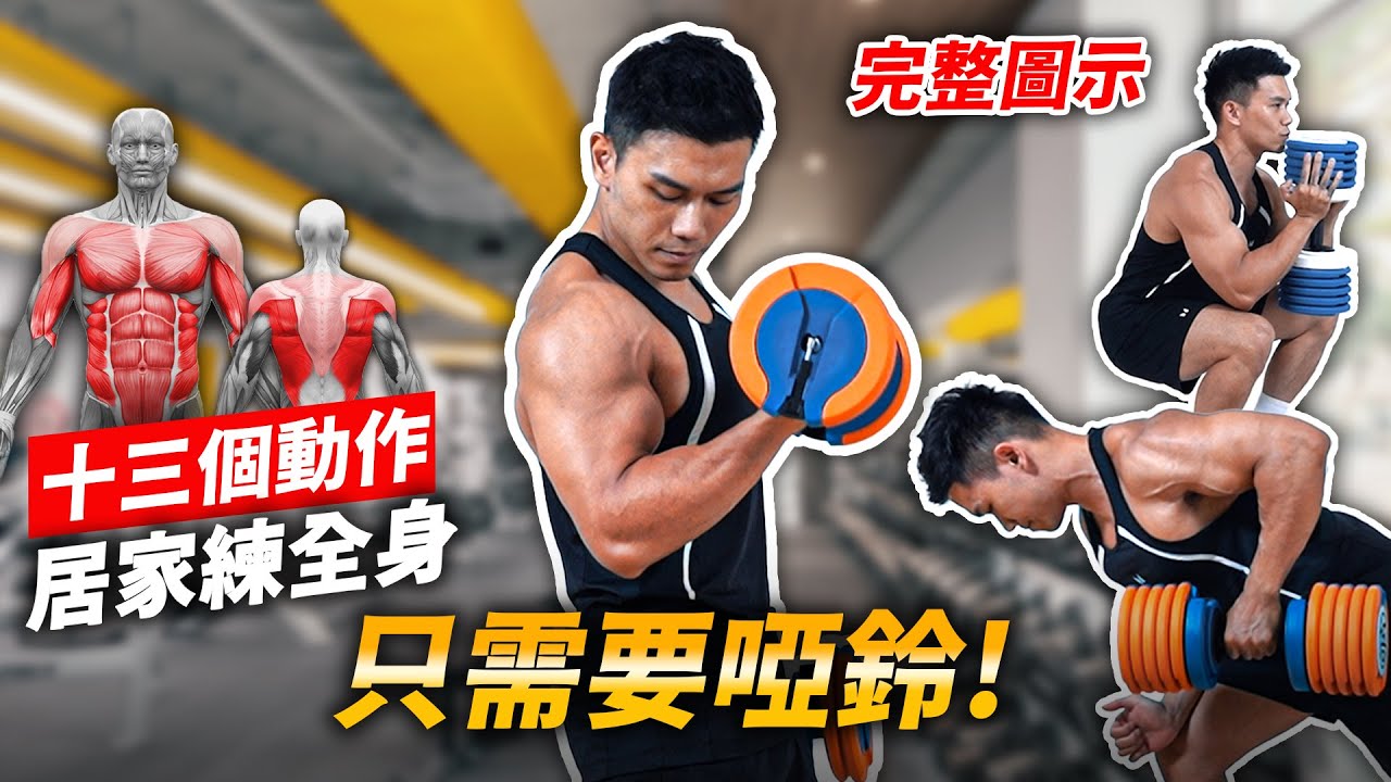 一週兩次【居家練全身】只需要啞鈴 完整圖示一看就會！│健人訓練│ 2025ep30