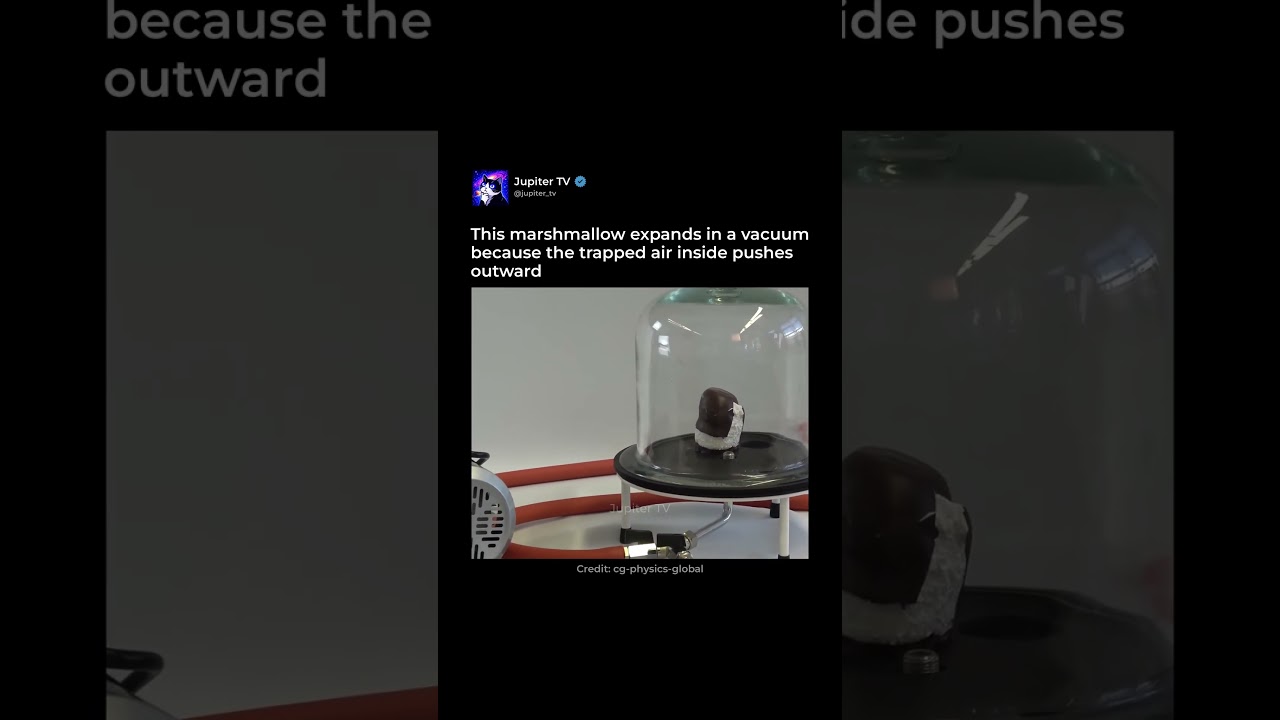 Marshmallow in a Vacuum 😮