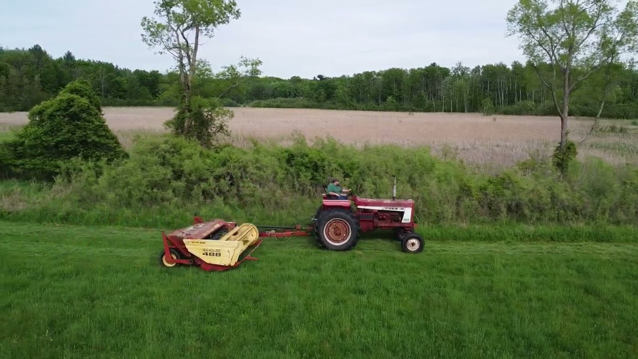 Farmall 706 Pulling a New Holland 488 Haybine for First Cutting  Hay in 2022