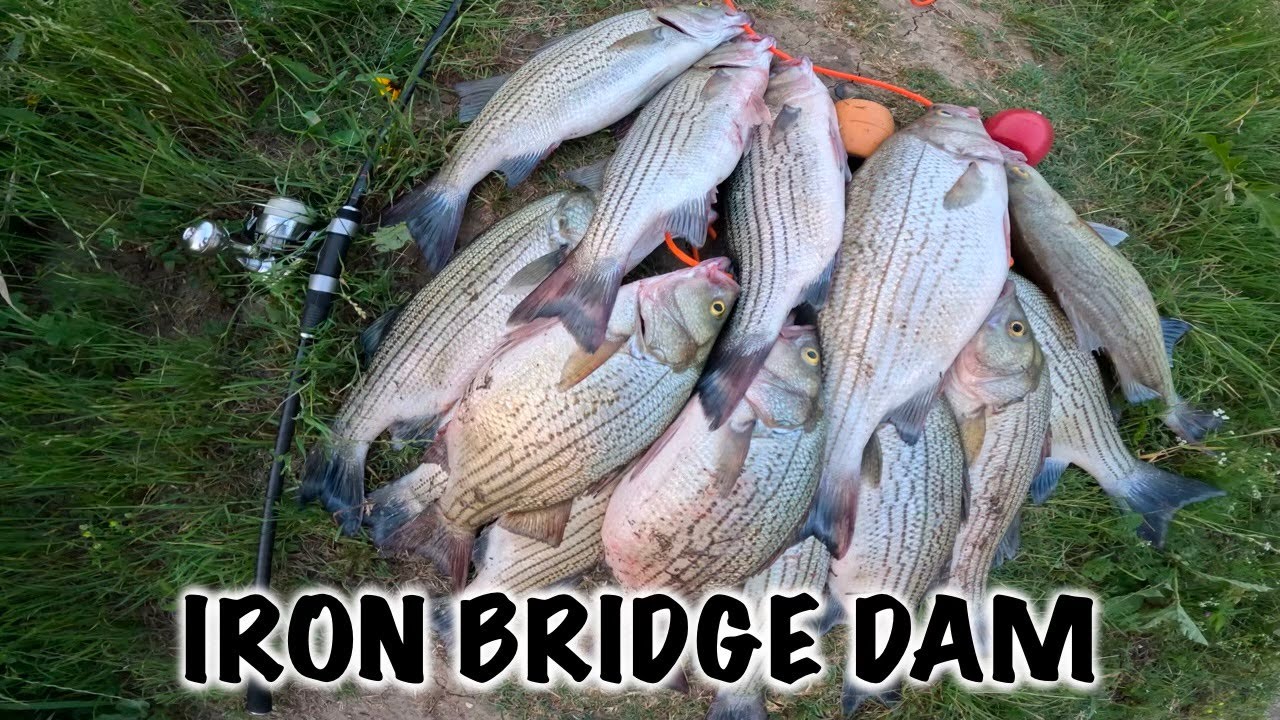 HYBRID LIMIT at Iron Bridge Dam | Lake Tawakoni