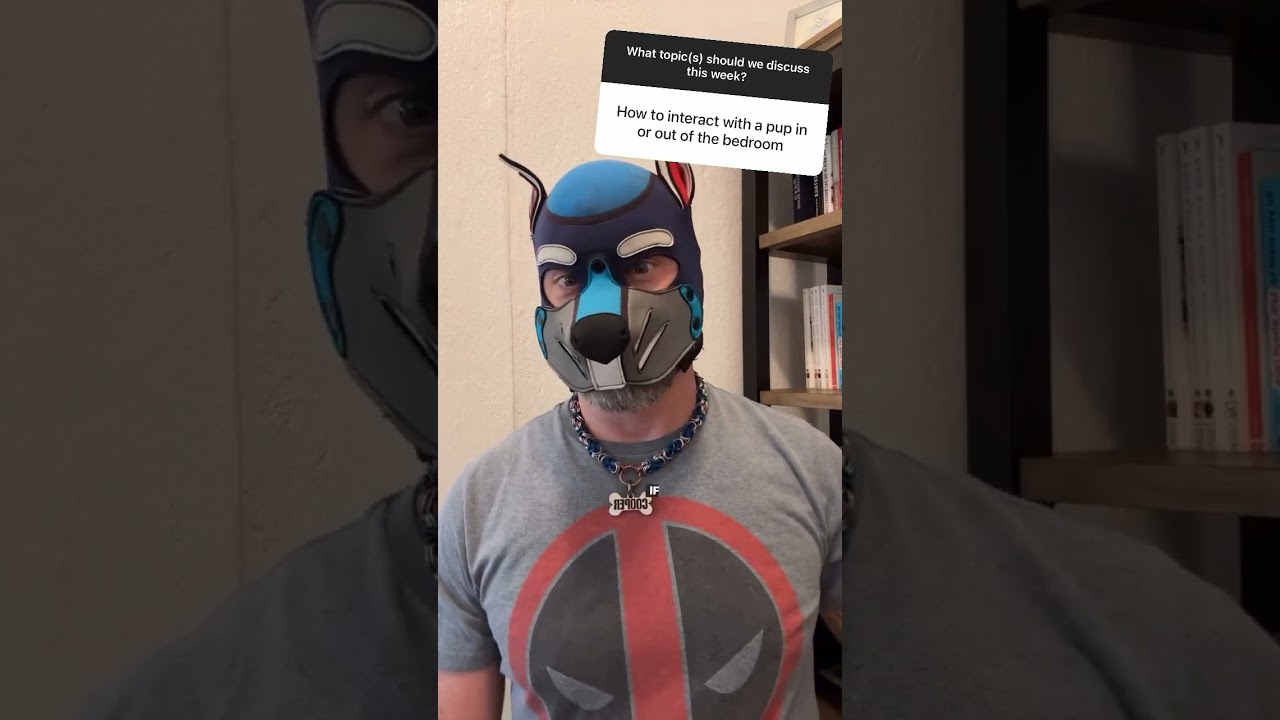 How should someone interact with a human pup?