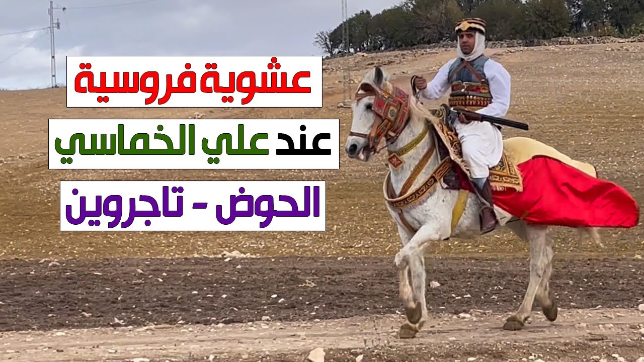 عشوية فروسية - الحوض - تاجروين