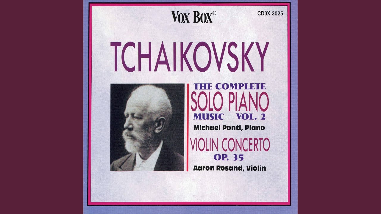 Violin Concerto in D Major, Op. 35, TH 59: I. Allegro moderato