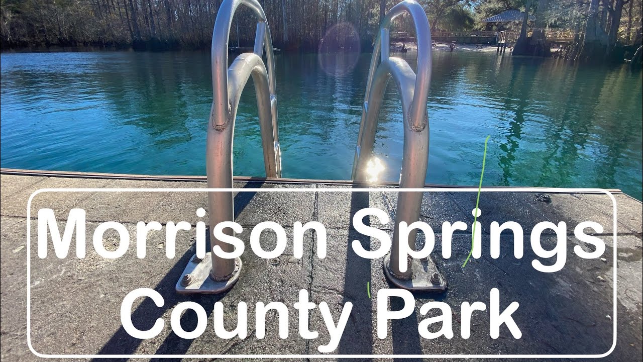 Morrison Springs County Park (springs)