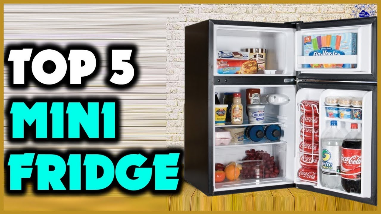 Best Mini Fridge 2024 | Best Mini Fridge You Can Buy (Review & Buying Guide)