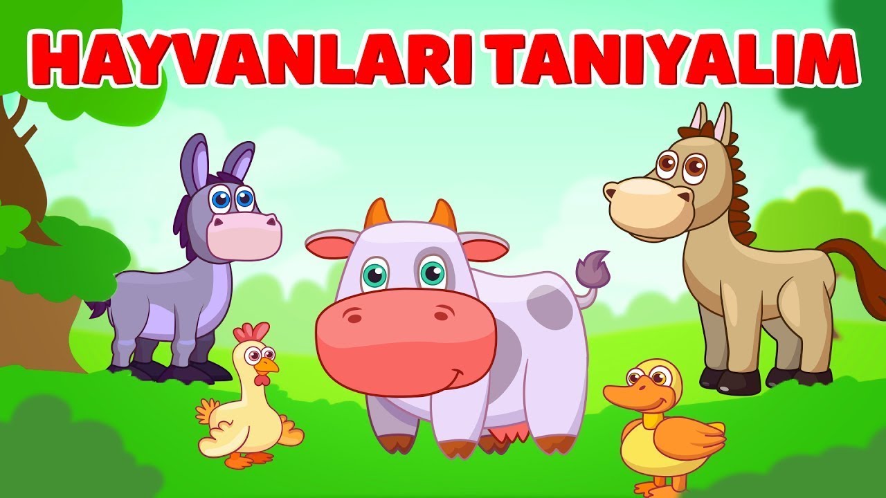 Hayvanları tanımayı öğreten şarkı 🐎
