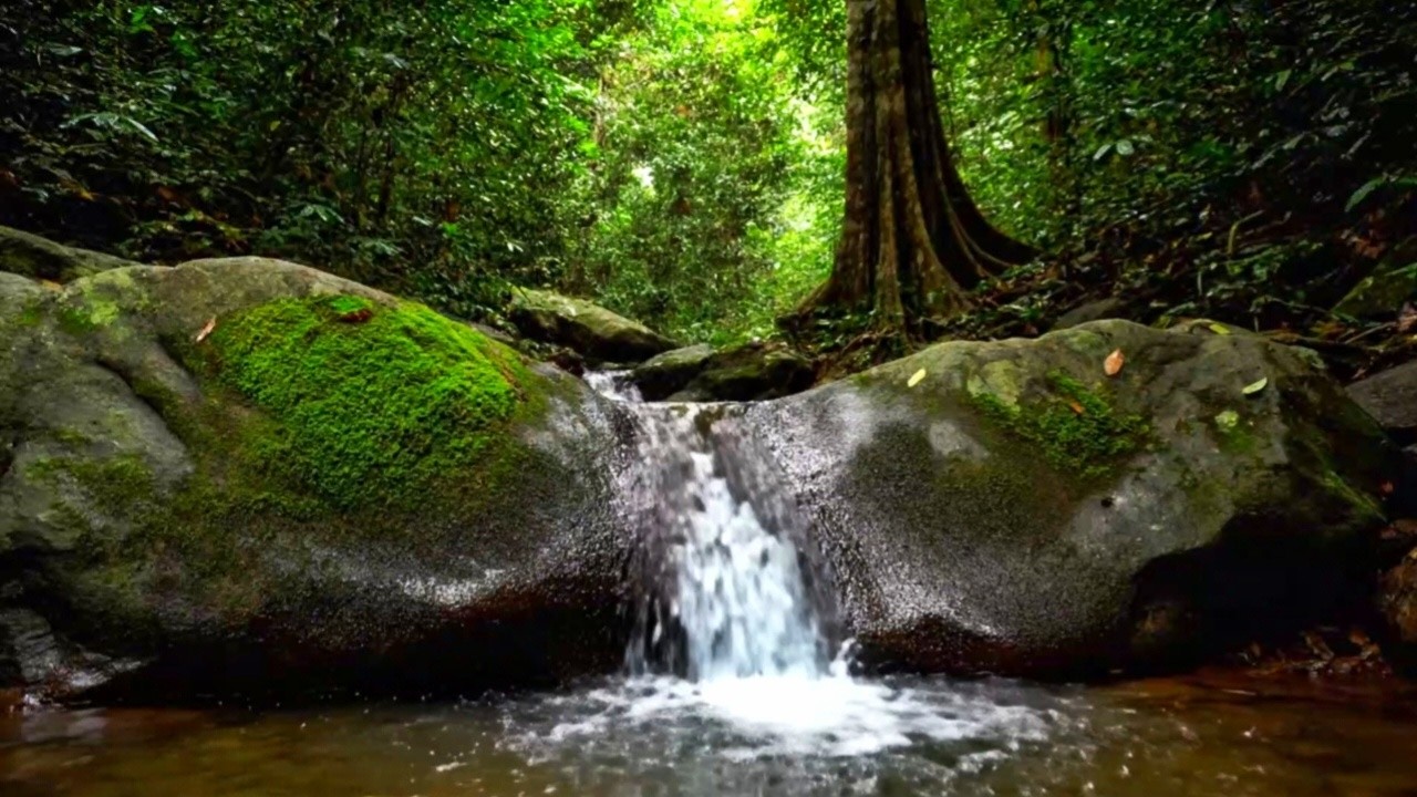 NATURAL RIVER FLOW SOUNDS FOR SLEEP, STUDY, RELAXATION AND INSOMNIA RELIEF | 11 HOURS AMBIENCE
