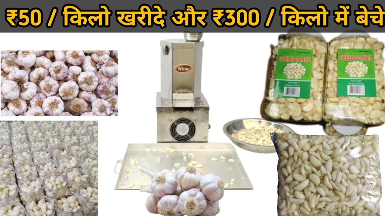 ₹50/किलो में खरीदे, ₹300/किलो में बेचे🔥 Garlic Peeling Machine / Business Idea / 2023