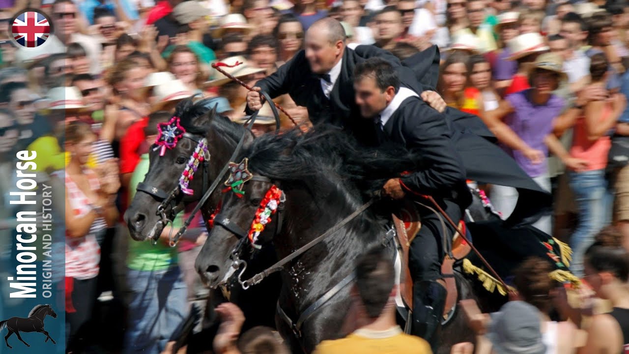 Minorcan Horse, an exceptional horse during the feast of Saint John