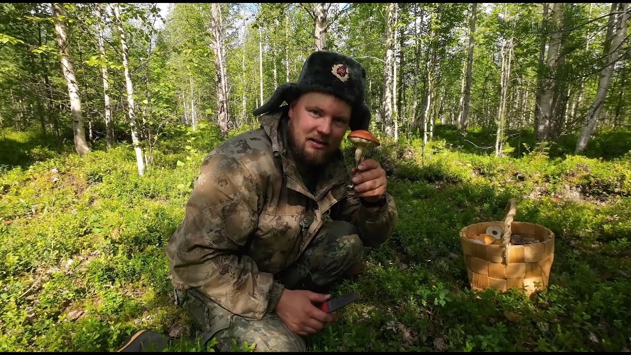 ОНИ ВЫЛАЗИЛИ ИЗ-ПОД ЗЕМЛИ! ГРИБАЛКА В ДИКОМ ЛЕСУ. СБОР ГРИБОВ. ПО ГРИБЫ. ГРИБНИК ОЧЕНЬ РАД.