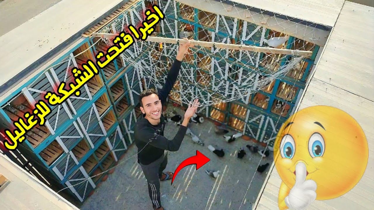 فتحت للزغاليل الجديدة شبكة القمراية اول يوم 😃 فاجئوني برد فعلهم ؟!!