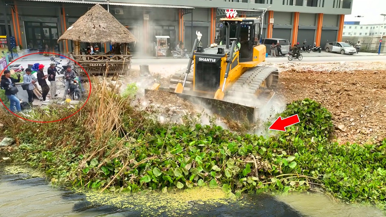 Fantastic Project!!Bulldozer SHANTUI C3 Push Stone And DumpTruck10Wheel Unloading Stone Filling Land