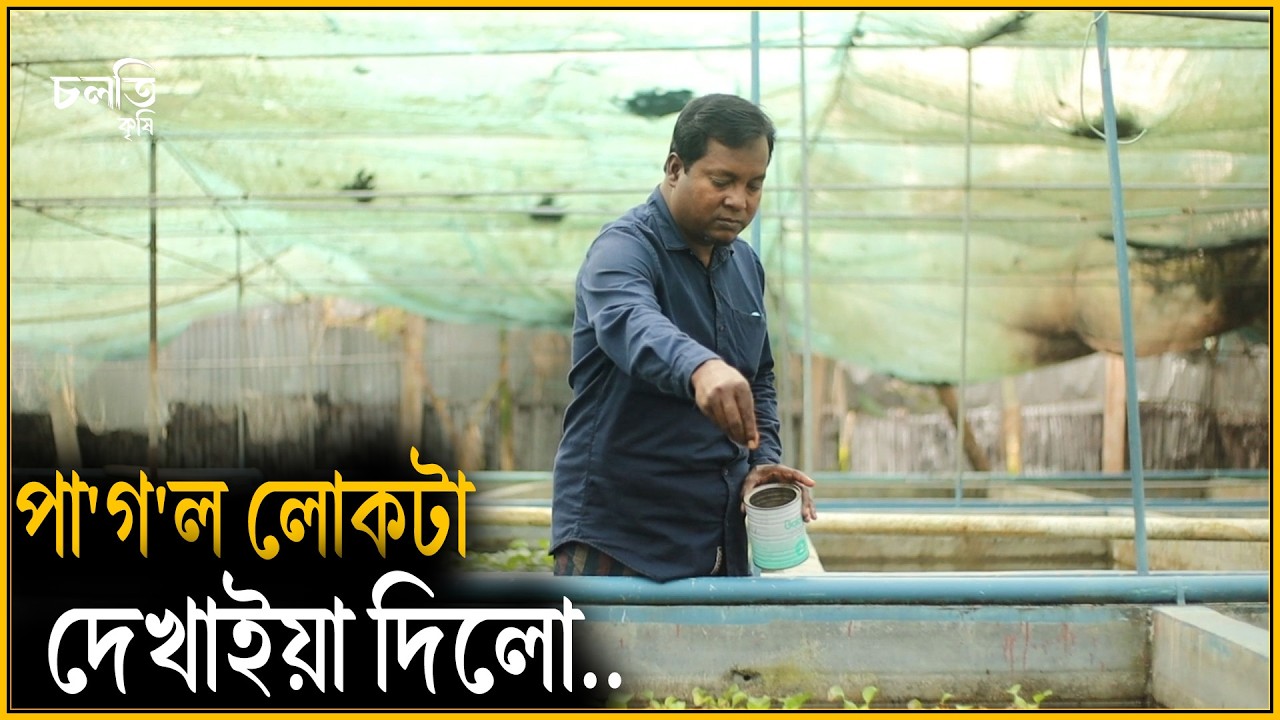 পুকুরে কিসের রংধনু? | চলতি কৃষি
