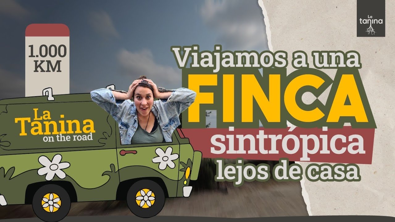 AGRICULTURA SINTRÓPICA: una NUEVA manera de CULTIVAR🌱🌳🌿