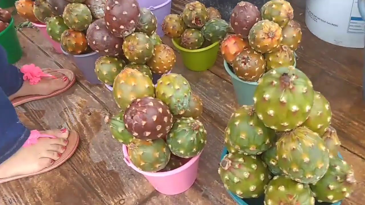 Mercado de Acatlán de Osorio