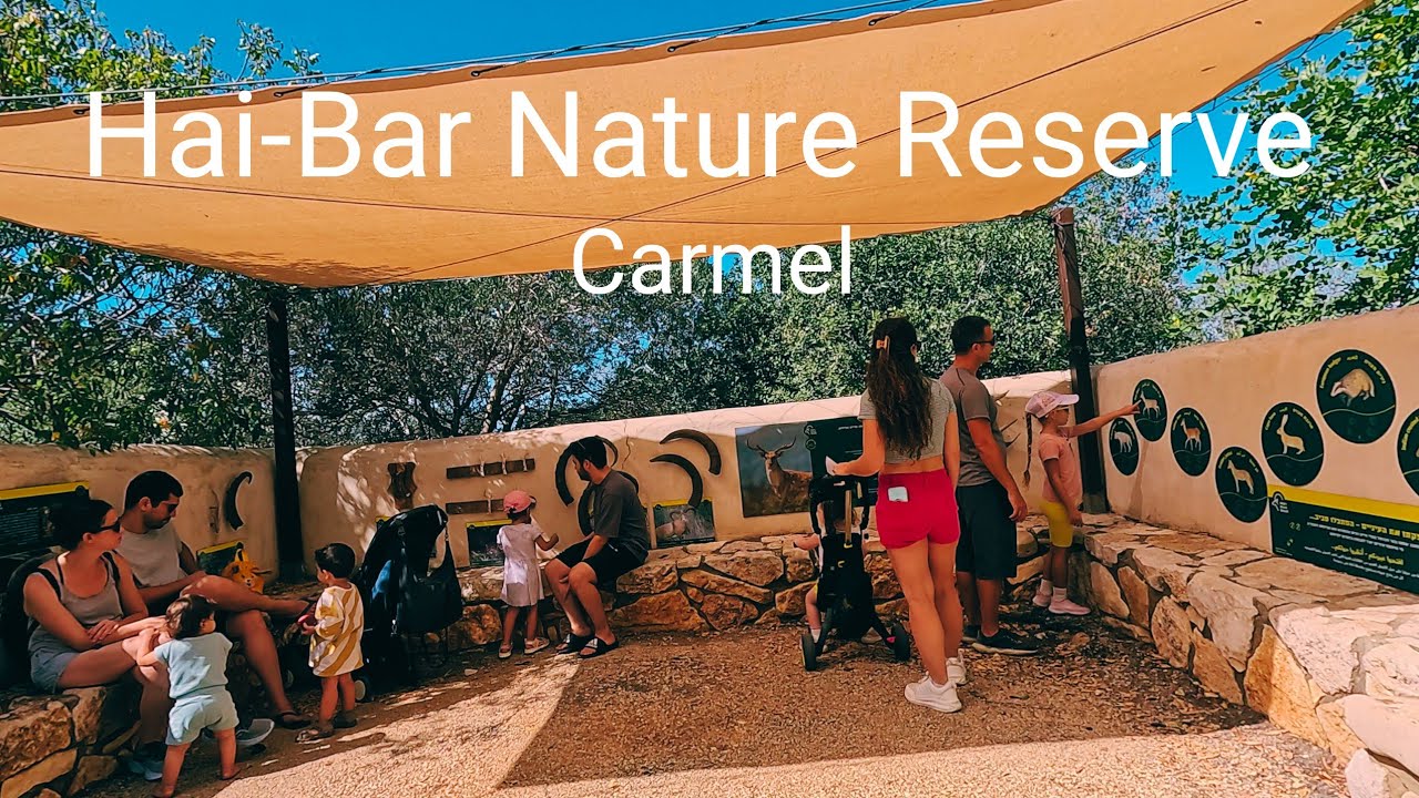 Sukkot Family Adventure at Hai-Bar , Mount Carmel