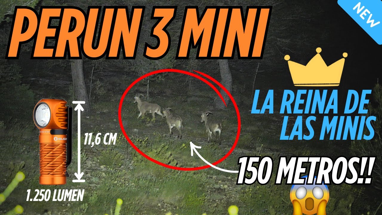 🔥NUEVA Perun 3 Mini - Review en RUTA NOCTURNA✨