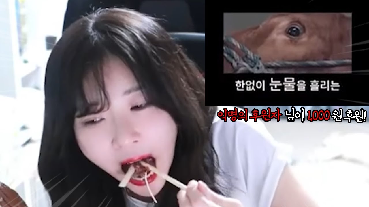먹고 싶어도 먹지 못하는 먹방...