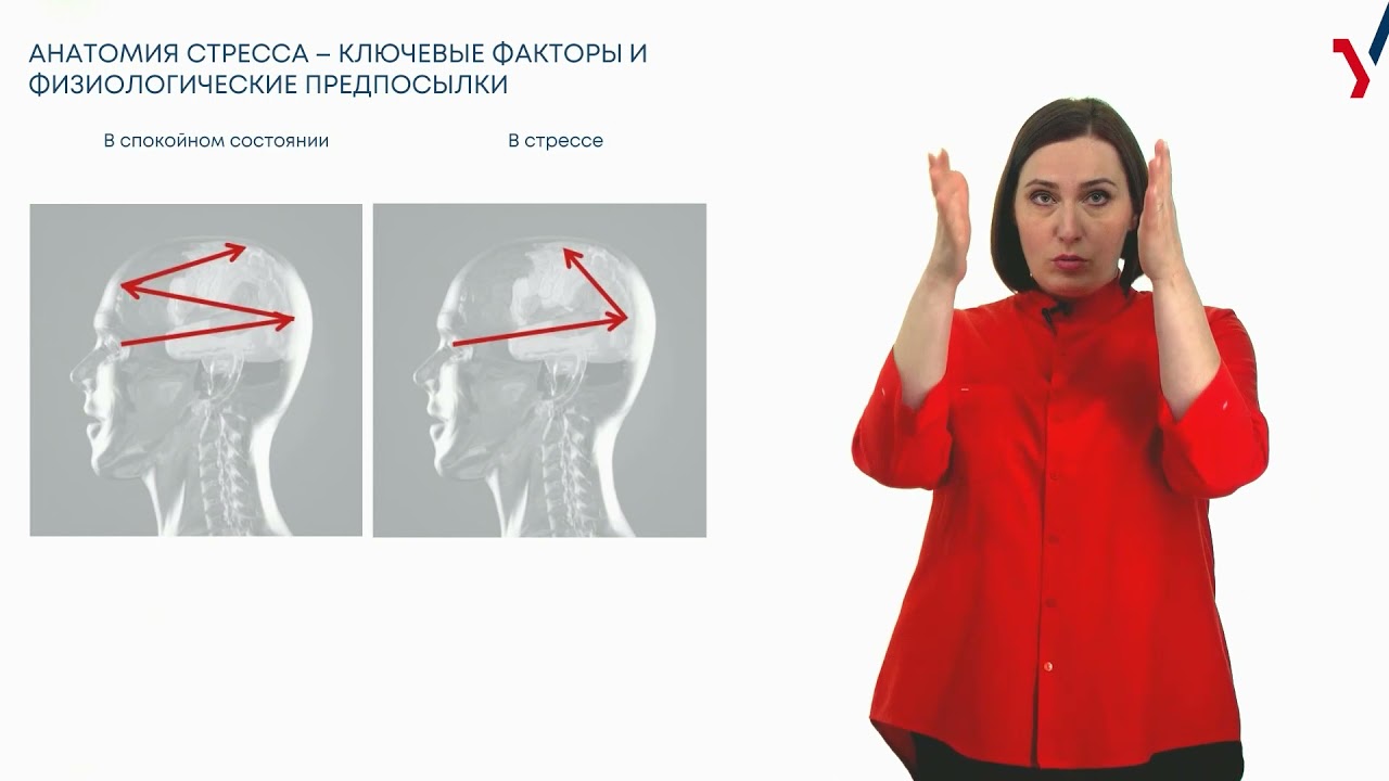 Стресс: как помочь себе и другим