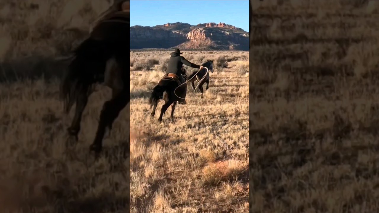 Rope that Horse! #cowboy #rope #horse #viral #awesome #catch