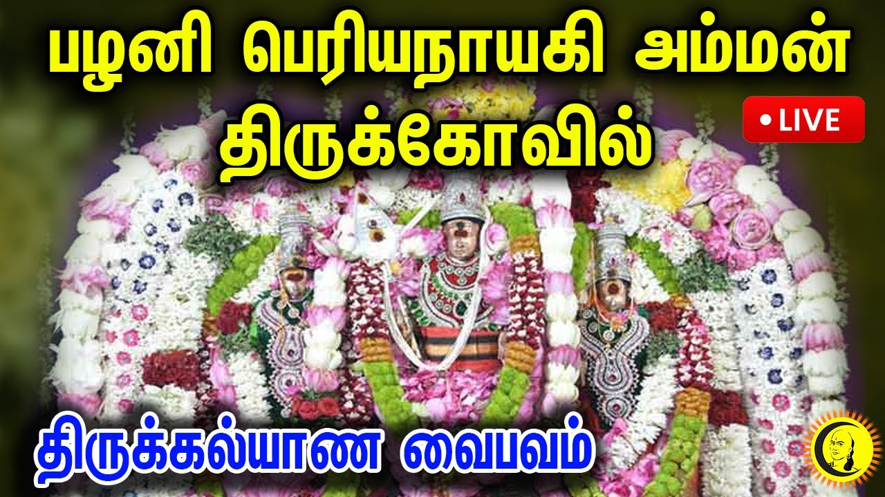 🔴LIVE:Palani Periyanayaki Amman Temple | Tirukalyanam Festival | பழனி பெரியநாயகி அம்மன் திருக்கோவில்